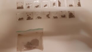 4 aanhoudingen in gezamenlijke actie