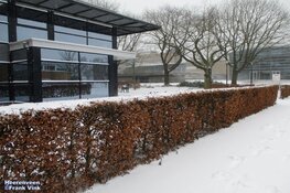 Winterse zondag in beeld