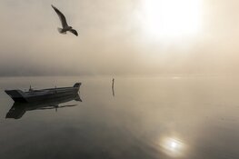Hardnekkige mist en tot woensdag lenteachtig, daarna koeler