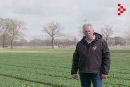 Pluim voor duurzame groenteteler Van den Einden