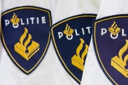 Auto bekrassende fietser met hondje in Bureau Brabant