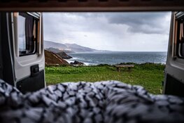 Indie Campers werkt samen met Forstfreunde: CO2 compensatie voor je roadtrip door het planten van bomen