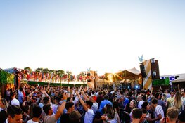 Zondag 14 mei: Peteyfest, volop genieten van live muziek, de lekkerste speciaalbiertjes, foodtrucks én gratis toegang!