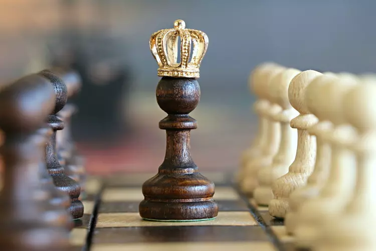 Nederlands Kampioenschap Rapid schaken 2023