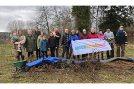 Meer dan 50.000 bomen krijgen 2e kans in Brabant