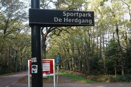 Jong PSV pakt terechte zege op Helmond Sport