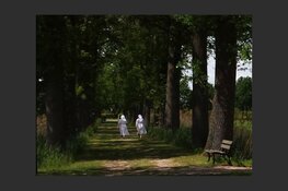 Nazomeren op Ons Kloosterpad