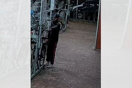 Diefstal elektrische fiets - Parkweg - Helmond