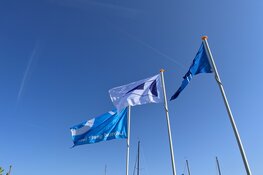 De Flevoland regatta 2024. Hou je van ZEILEN......  DOE DAN MEE!