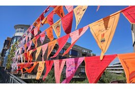 Brabant Herinnert steunt 43 lokale projecten