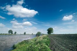 Veel goede ideeën voor schonere lucht in Brabant