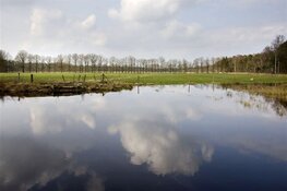 Impact uitspraak Raad van State over intern salderen