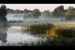 Volop plannen voor Brabantse Aanpak Landelijk Gebied