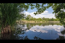 Stikstofmaatregelen kabinet onvoldoende