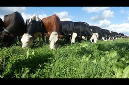 Brabants Bodem laat boer, bodem en biodiversiteit floreren