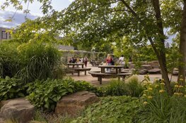 Brabant pakt door: 25 nieuwe groene schoolpleinen