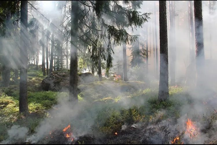 Verhoogd gevaar op natuurbrand door het warme weer