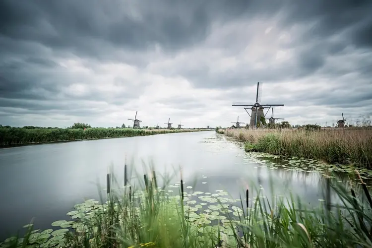 Pas op voor blauwalg in het water