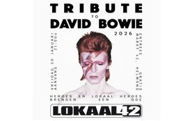 Tribute to David Bowie