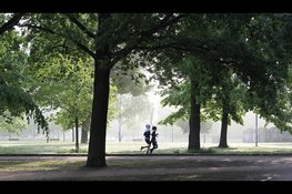 Brabanders steeds minder actief, minder dan helft voldoet aan beweegrichtlijn