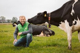 Campina Open Boerderijdagen 2026: boerderijen in Noord-Brabant open voor publiek