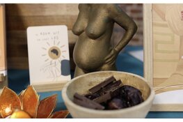 Kennis, inspiratie en ontmoetingen tijdens  Het Geboorte Event Eindhoven in Veldhoven op 27 mei 2026