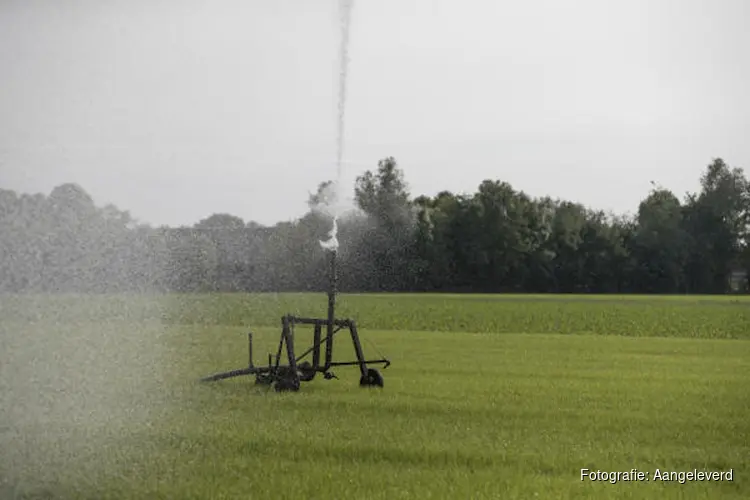 Provincie Noord-Brabant zet koers naar toekomstbestendig grondwatergebruik