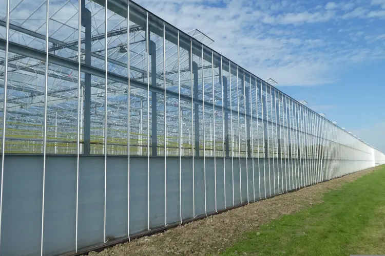 Gefaseerde invulling glastuinbouwgebied Deurne