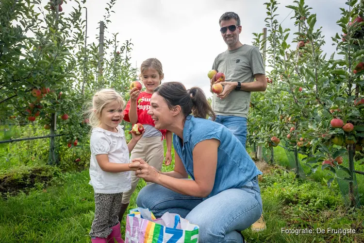Noord-Brabantse fruittelers openen hun boomgaard: geniet van de oogst van dichtbij