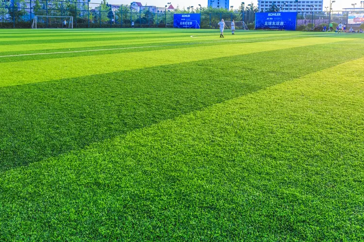 Informatie kennisdag KNVB innovatieplatform Gras in Helmond